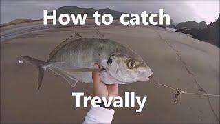 How to Catch Trevally - NZ Fishing Tutorial