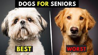 30 Best and Worst Dog Breeds for Seniors and Retirees - Very Low Maintenance + Don't Shed or Smell