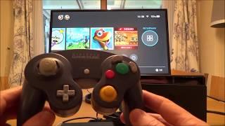 GameCube Controller on Nintendo Switch (21)