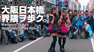 大阪日本橋界隈ヲ歩ク Nipponbashi Street Festa 2024 (Cosplay Street Event Osaka, Japan)