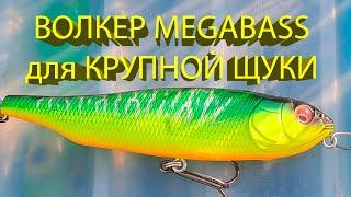  Знакомство с волкером Megabass Giant Dog-X. Сразу клюнула ТРОФЕЙНАЯ ЩУКА, но ЧТО-ТО ПОШЛО НЕ ТАК 