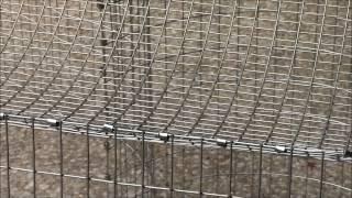 How to Build an All Wire Rabbit Cage