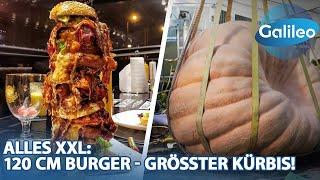 XXL-Ranking: Gigantischer 1.20m-Burger & der größte Kürbis der Welt!