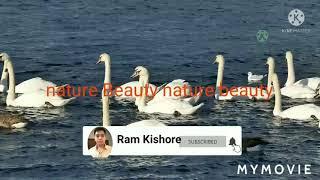 Nature Beauty#vidioshop #mymov