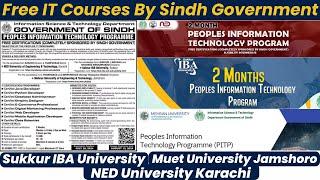 Free IT Certifications - Peoples Information Technology Programme by Sindh Government | Apply Now!