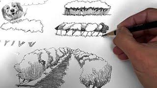 How to draw trees with pencil for beginners, How to DRAW a Forest