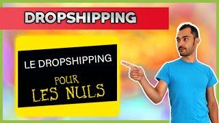 DROPSHIPPING POUR LES NULS (débutants)