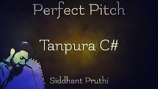 Tanpura C# | Vocal | Instrument | Practice | Meditation