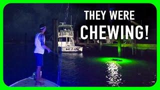 Sight Fishing Dock Lights For Snook and Tarpon