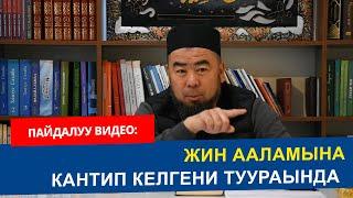 Жин ааламына кантип келгени туурасында  | Устаз Эрмек Тынай уулу