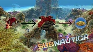 Where To Find CAVE SULFUR! Beginner Guide InTo Subnautica