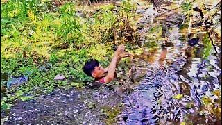 DAPAT IKAN BABON RASANYA DAGDIGDUG!!! BERBURU DI SUNGAI BESAR DAN SAWAH!!!