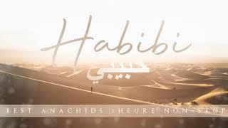 HABIBI - BEST ANACHIDS MUSLIM 100% DOUF ( 1 H NON-STOP )