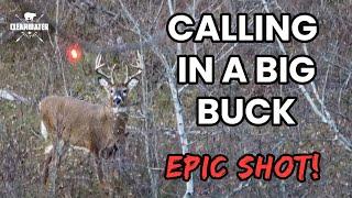 EPIC ARCHERY SHOT on BIG BUCK!!! | Calling deer in the rut | TAYLOR'S TENPOINT