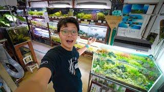 Traditional Japan Fish Store Tour! Beautiful Planted Aquariums!!