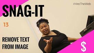 How to Remove Text on Image | Snagit 13 TIME SAVER!!