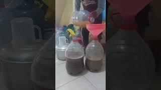 Kocoran Super Asam Amino dan Lactobacillus