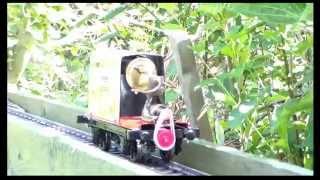 Live Steam, Thing3, garden rail (g scale 45mm)