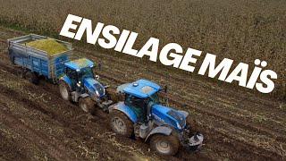 ENSILAGE DE MAÏS CONDITION INHABITUELLE  | SARL ALLAIS JOSEPH