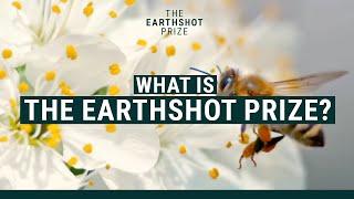 What Is The Earthshot Prize?  | @EarthshotPrize