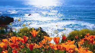 Beautiful Relaxing Hymns, Peaceful Instrumental Music, "Big Sur  Morning Sunrise" by Tim Janis