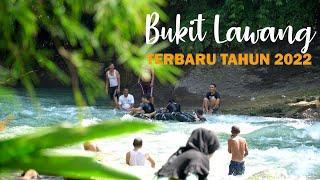 Pesona Wisata Bukit Lawang Terbaru 2022 | Berinteraksi dan Melihat Orangutan di Habitat Asli