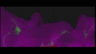 Realtime gpu simulation of liquid - 100K particles