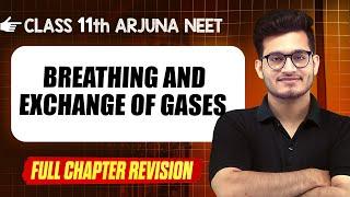 BREATHING & EXCHANGE OF GASES : COMPLETE Chapter || Quick Revision || Class 11th Arjuna NEET