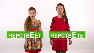 Черстветь. ОШИБОК.NET