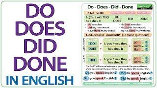 Do Does Did Done - English Grammar Lesson