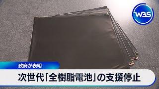 次世代「全樹脂電池」の支援停止　政府が表明【WBS】