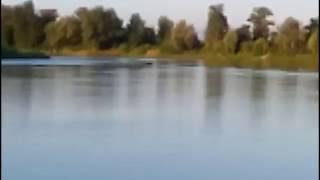 Неожиданный гость на рыбалке. Unexpected guest on fishing.