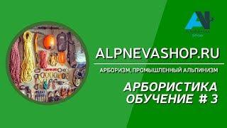 Подъем на петлях. Арбористика обучение или как залезть на дерево