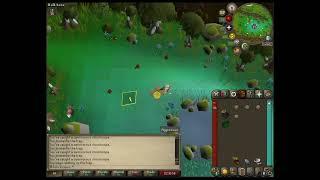3 Tick chinchompa hunting explained in 2 minutes for EVERYONE! [OSRS]