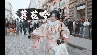 【意大利街头 二胡】一曲葬花吟，多少悲伤泪 Playing the classic song "Zang Hua Yin" with Erhu on the street of Italy