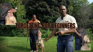 Master Target Training for Dogs: Beginner's Guide with Gemini K9 Obedience Inc.!