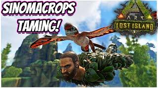 HOW TO TAME SINOMACROPS AND ITS ABILITIES!! || Ark Lost Island!