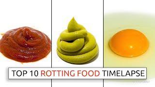 Top 10 Rotting Food Timelapses