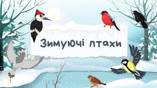 ЗИМУЮЧІ ПТАХИ ДЛЯ ДІТЕЙ. ЯК СПІВАЮТЬ ПТАХИ? ОПИС СИНИЦІ. РОЗВИТОК МОВЛЕННЯ. ДІТЯМ ПРО ПТАХІВ.