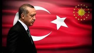 Срочно! Эрдоган предупредил, что Турция может войти в Израиль для поддержки палестинцев