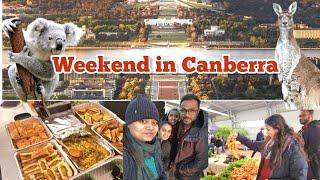 My FIRST TIME IN CANBERRA| The Capital of Australia| saw koalas  #canberra #australia #travel