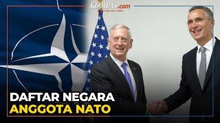 Negara Mana Saja yang Jadi Anggota NATO?