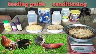 feeding guide ng 21 days conditioning