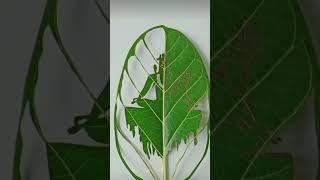 #shorts #viral #lord #shiva #mahadev #leaf #craft #creative #art #drawing #tutorial #shortvideo