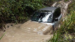 New Land Rover Defender P300 - Extreme OFFROAD Test Drive