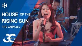 The Animals- House Of The Rising Sun (cover)|Gigi De Lana • Jon • Jake • Romeo-Oyus