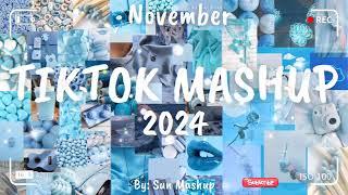 Tiktok Mashup November 2024 (Not Clean)