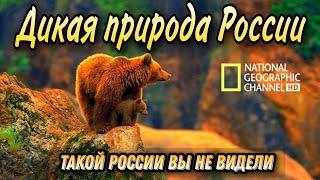 Дикая природа России. Природа нашей планеты. Потрясающий увлекательный фильм.Документальные фильмы.