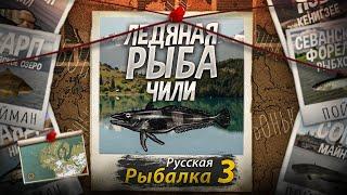 "Мутант" Ледяная Рыба. Побережье Чили. На расслабоне. Русская Рыбалка 3.