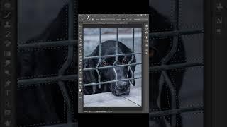 How To Remove Fences In Photoshop || Photoshop Tutorial #shorts